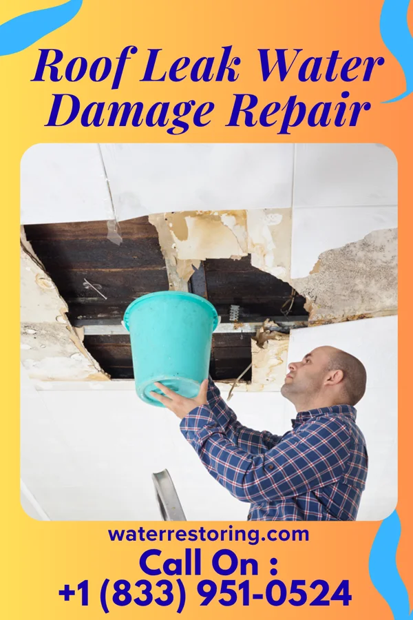 Roof Leak Water Damage Repair in Green Bay, WI